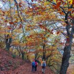 Galería fotográfica - Club Senderista Señal y Camino