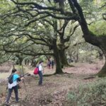 Galería fotográfica - Club Senderista Señal y Camino